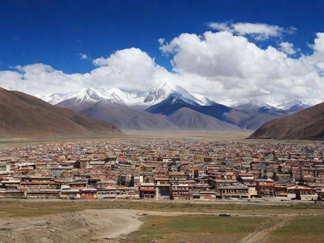 藏文网站英语怎么说,藏文网站大全网址